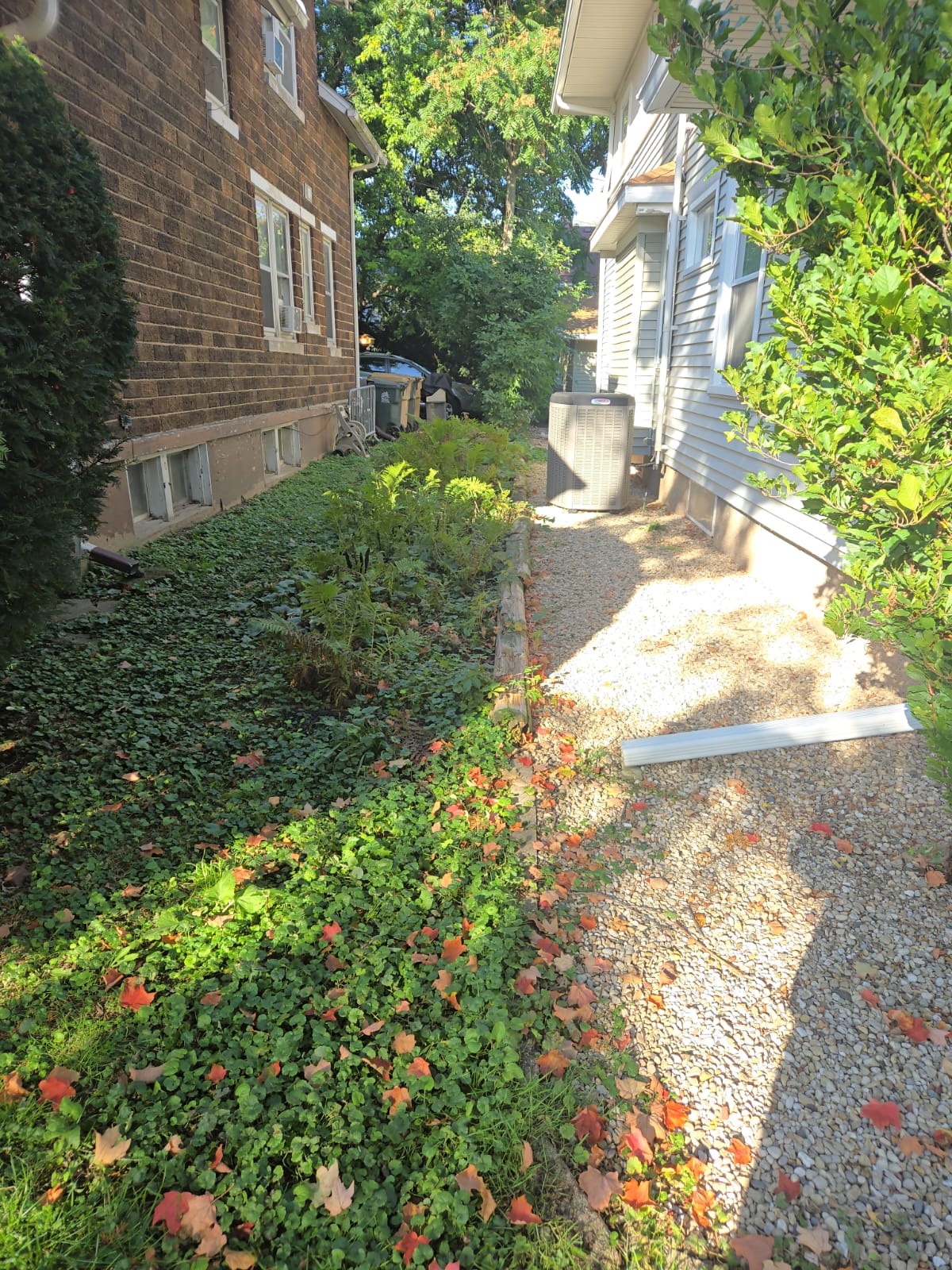 After Landscaping